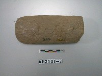 藏品(石杵)的圖片